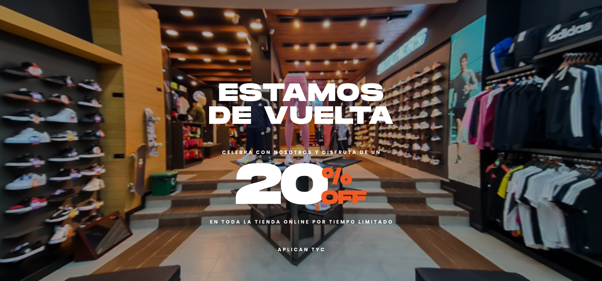 Texto alternativo de imagen